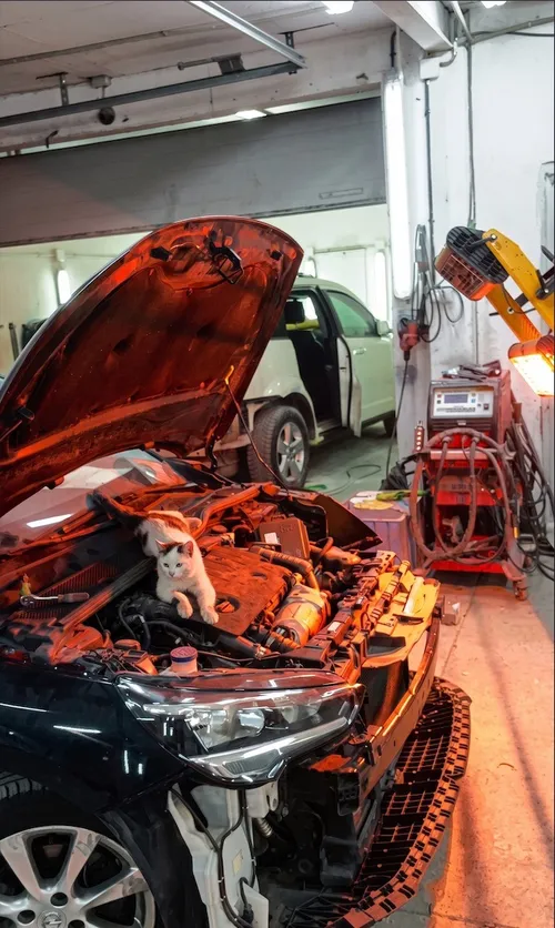 Nasz mechanik przy pracy – EUROTRANS